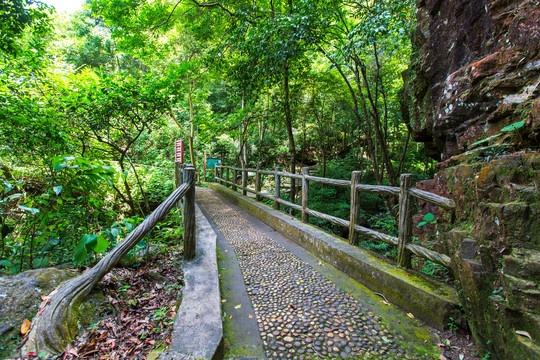 Longtan National Forest Park